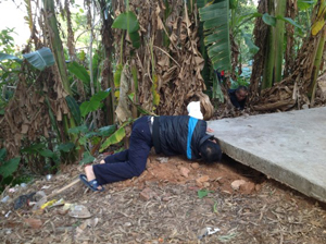 �����������һ�����������Ѱ�򡱱���ץ��