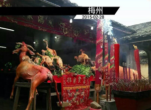 ������Ӣ�Žֵ���Ϊ���ǵĵ����Ե��쳣����